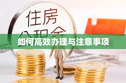 双塔如何高效办理与注意事项