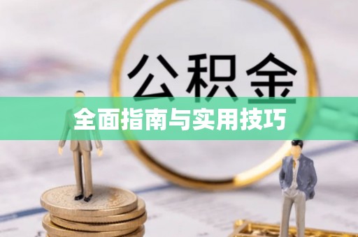 双塔全面指南与实用技巧