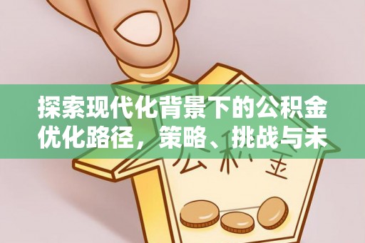 双塔探索现代化背景下的公积金优化路径，策略、挑战与未来展望