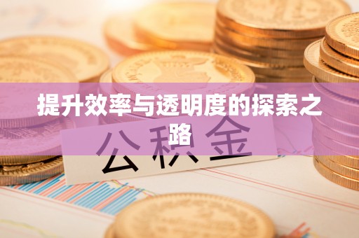 双塔提升效率与透明度的探索之路