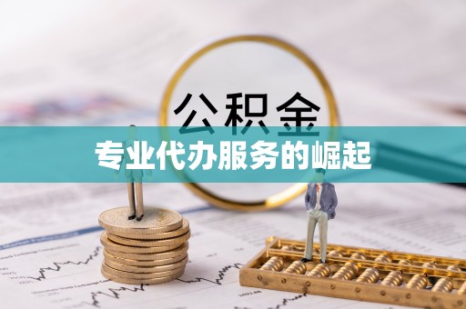 双塔专业代办服务的崛起
