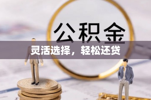 双塔灵活选择，轻松还贷