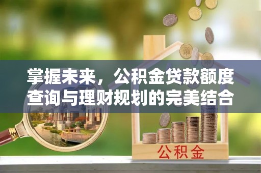 双塔掌握未来，公积金贷款额度查询与理财规划的完美结合