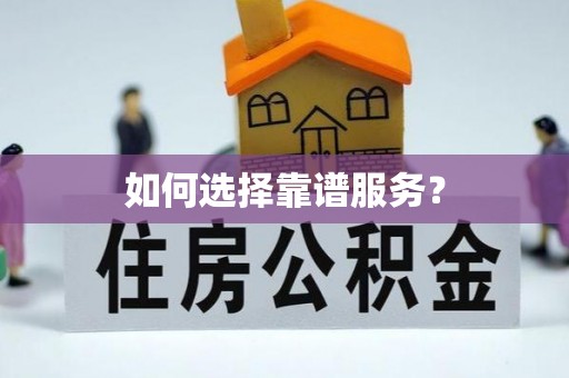 双塔如何选择靠谱服务？