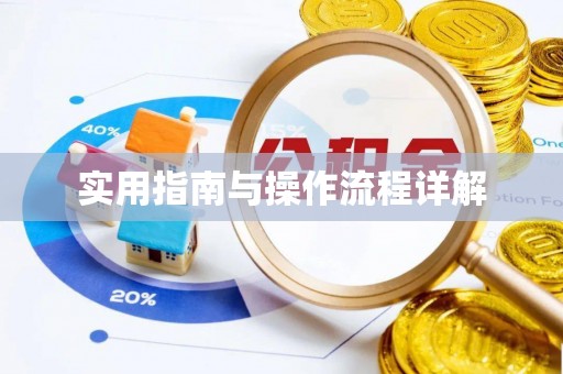 双塔实用指南与操作流程详解