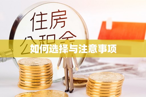 双塔如何选择与注意事项