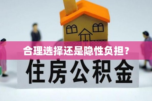 双塔合理选择还是隐性负担？