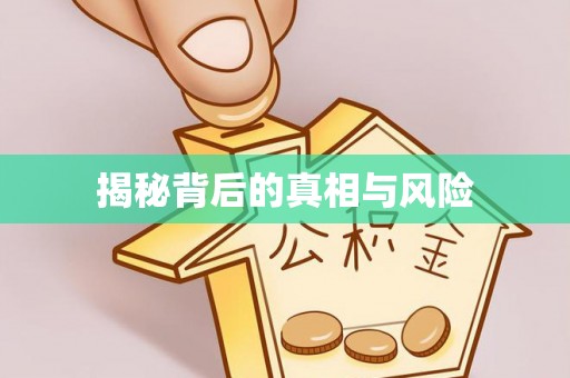 双塔揭秘背后的真相与风险