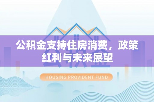 双塔公积金支持住房消费，政策红利与未来展望