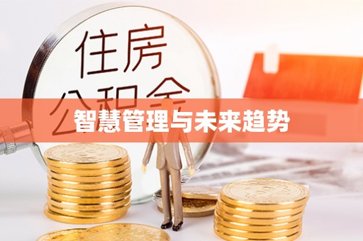 双塔智慧管理与未来趋势