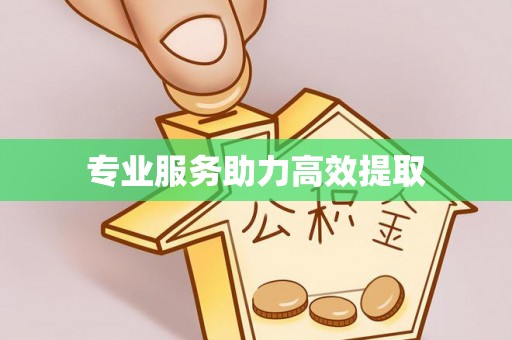 双塔专业服务助力高效提取
